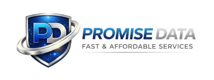 PromiseData Logo